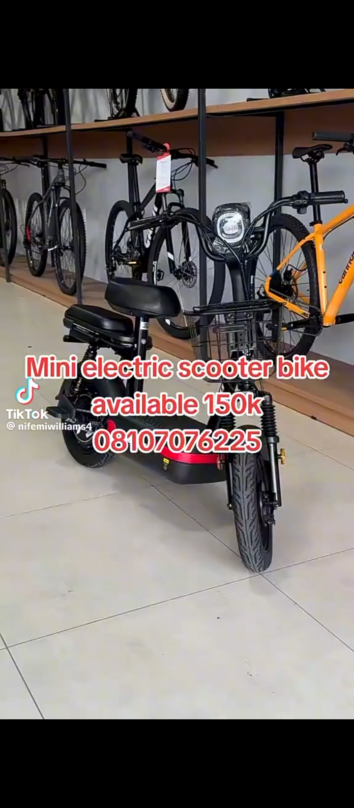 Electric Scooter